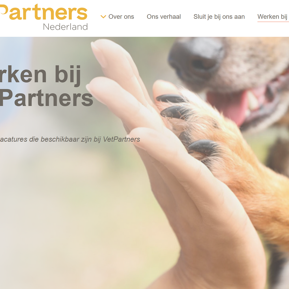 Vacature overzicht nu op onze website!