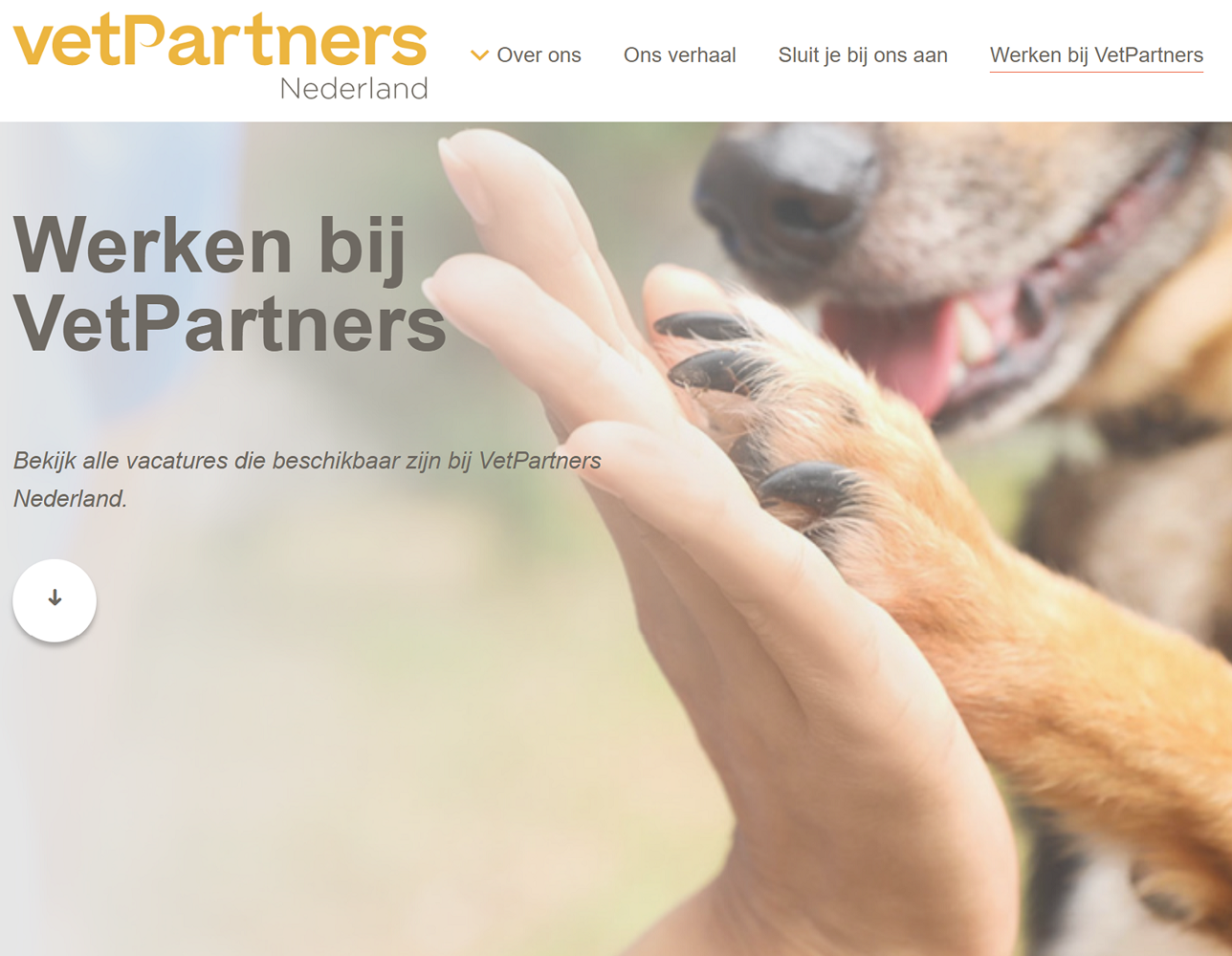 Vacature overzicht nu op onze website!