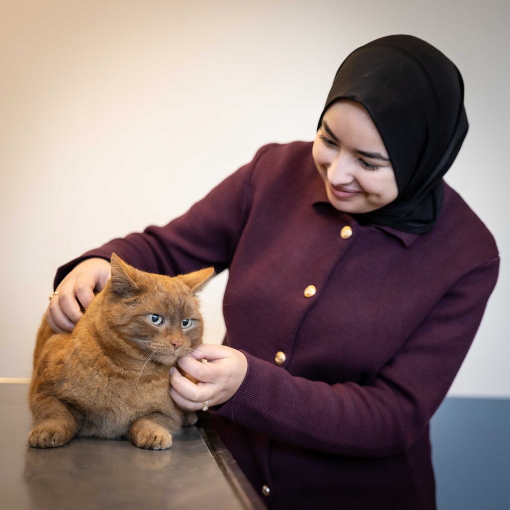 Amira Tabti